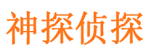 三台市调查公司